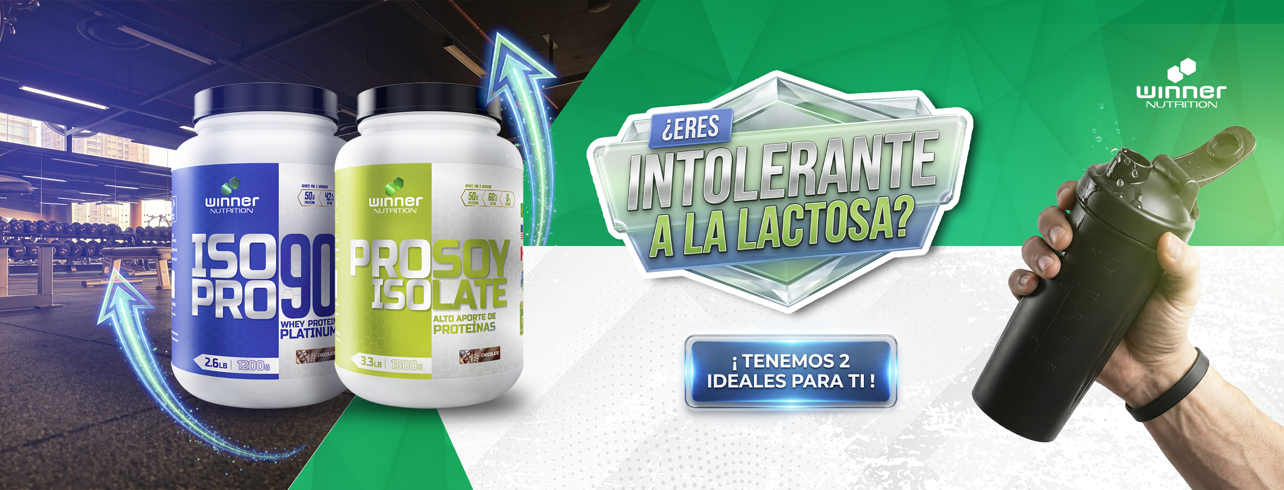 prosoy-isolate-iso-pro-90